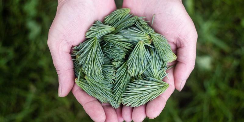 广州汇宇龙20年匠心之路：专业汽车维修与养护，守护您的每一次安全出行