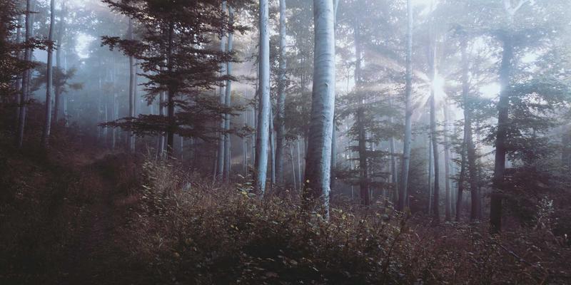 广州汇宇龙89：专业汽车配件与养护，守护您的每一程驾驶安全