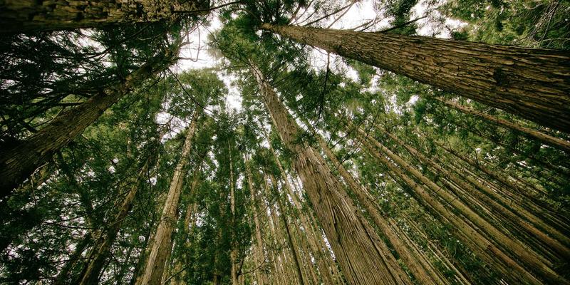 广州汇宇龙8：专业汽车维修、配件与保养的一站式解决方案