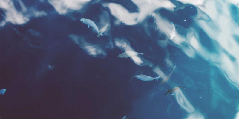 广州汇宇龙96：以禅意服务重塑汽车配件与保养新体验