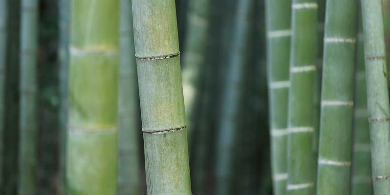 广州汇宇龙智慧仓储管理系统：以禅意服务破解汽配SKU高效精准拣选与配送难题