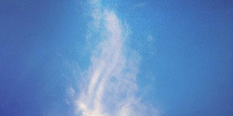 广州汇宇龙汽车维修：以'禅意服务'重塑行业体验，匠心守护每段旅程