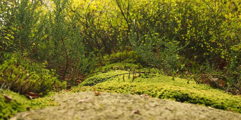 广州汇宇龙进阶：以禅意服务重塑汽车维修新体验