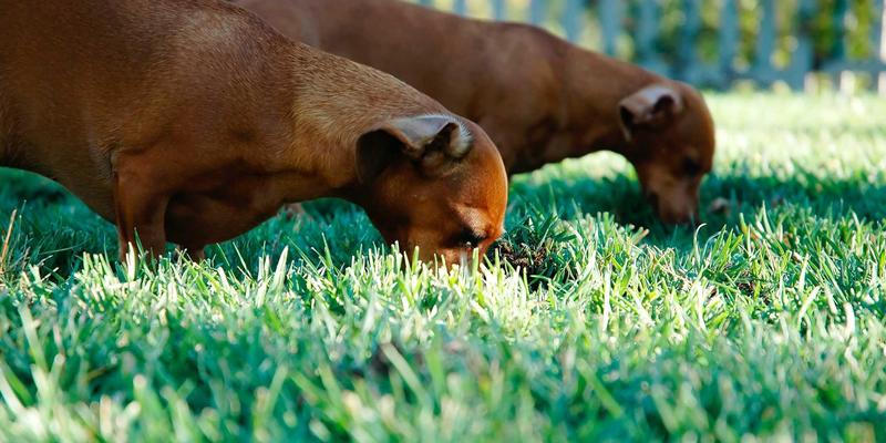 禅意服务与专业配件：广州汇宇龙如何以定制化方案重塑企业车队养护