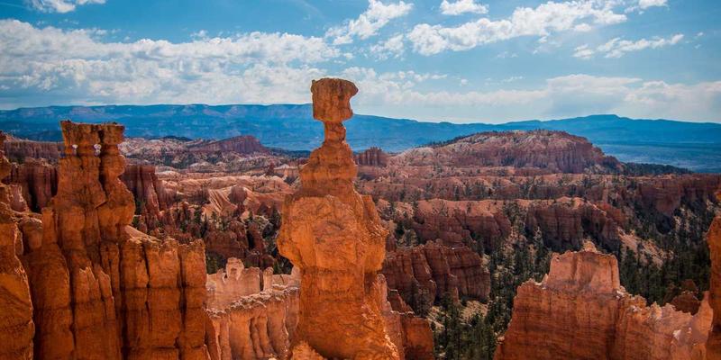 禅意服务赋能专业人才：广州汇宇龙汽车维修技术培训与行业认证体系解析