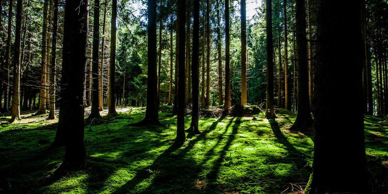 禅意服务驱动技术革新：广州汇宇龙在国六标准下的排放系统配件布局与汽车保养新思维